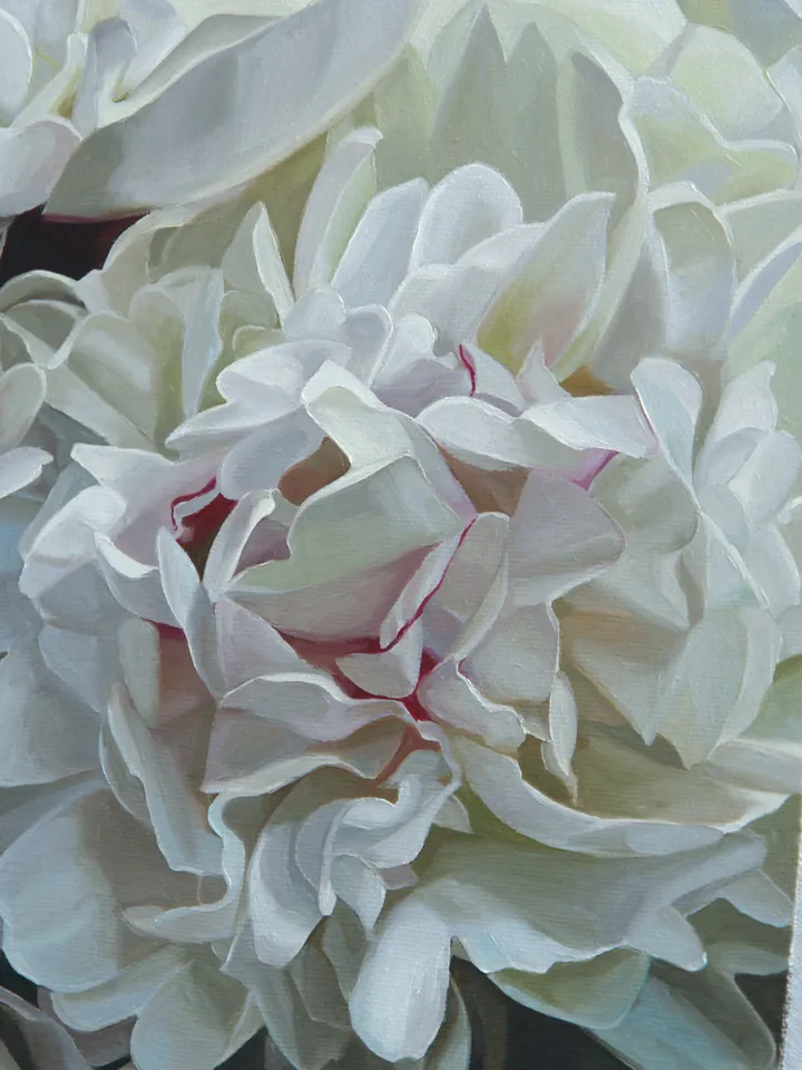 White peonies oil painting