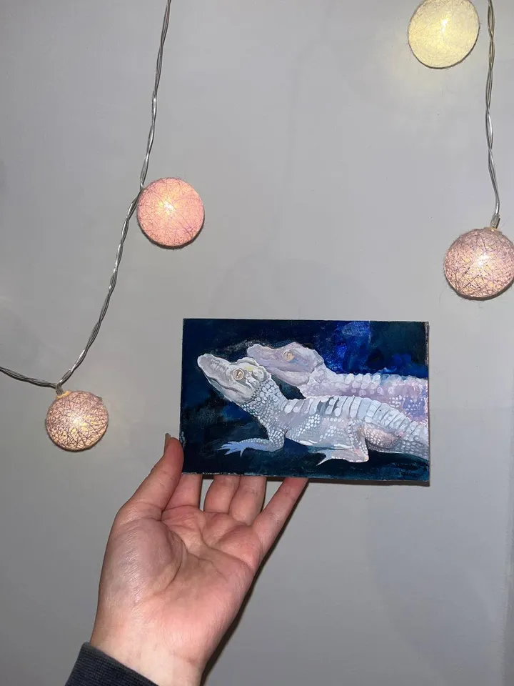 alligator