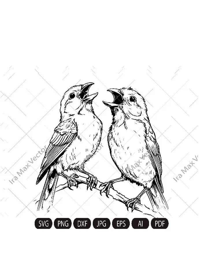 Canary SVG, Canary Bird Svg, Canaries singing svg, Pair of canaries, Canary Png, Canary Clipart, Canary Files