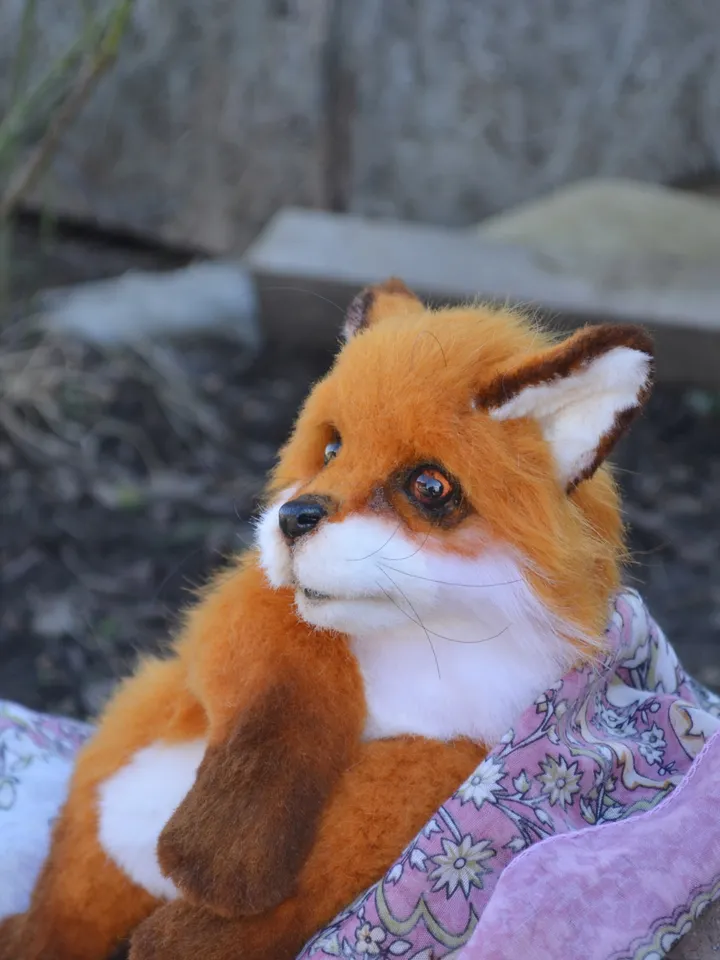 Little fox.