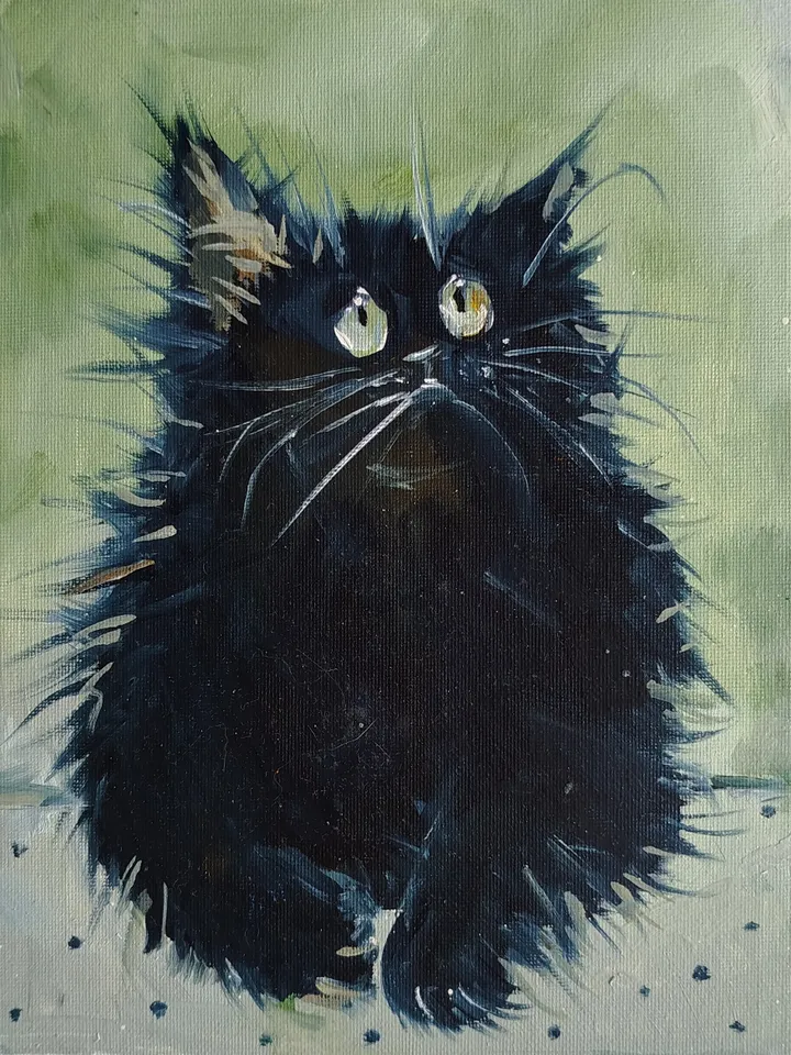 Little black kitten