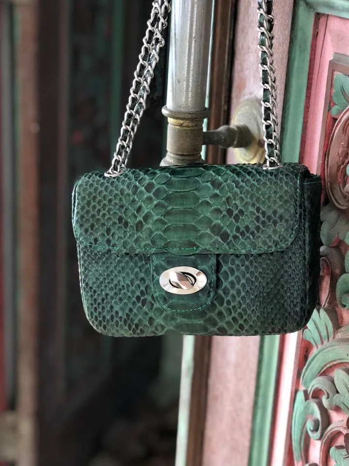 Dark green Crossbody Bag Genuine Python Skin | Adjustable Chain Classy Elegant snake Crossbody Small Lady Summer Bag | Python Purse