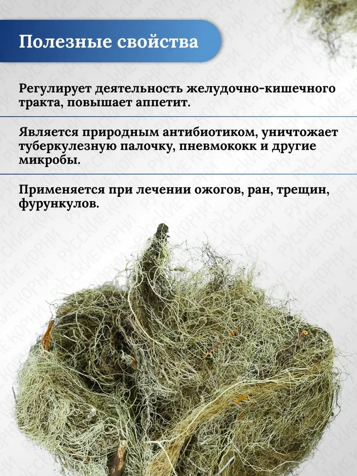 Usnea bearded 50 gr.