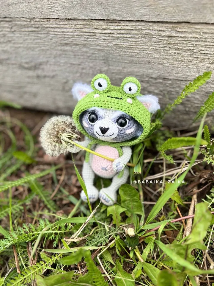 PDF Crochet Raccoon in a Frog Hat Pattern, Amigurumi Animal, Crochet Raccoon Pattern, Amigurumi Frog, Crochet Frog, Raccoon Doll Pattern
