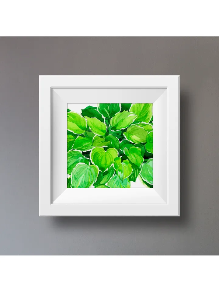 Watercolor clip art with green leaves Hosta Digital watercolor file Art print Illustration with hosta Printable wall art