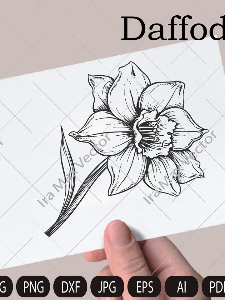 Daffodils svg, Daffodil Flowers svg, Narcissus flower bouquet svg, Birth flower svg, Spring flowers svg, png, cut file