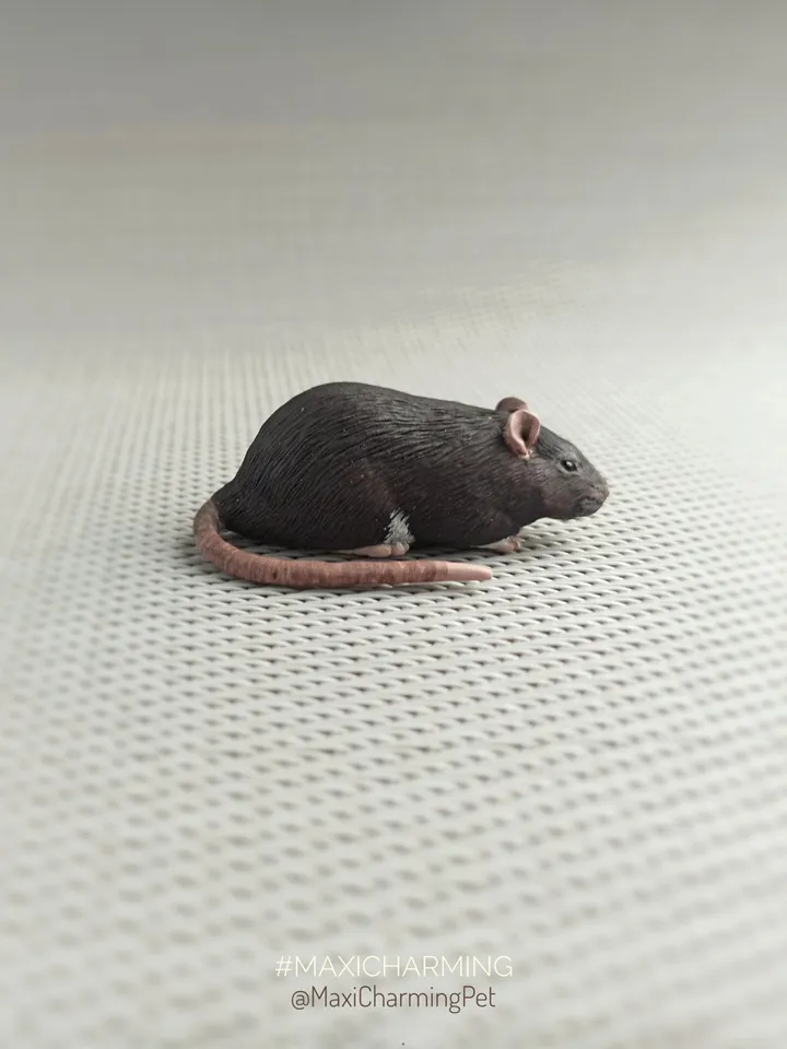 Custom rat small sculpture