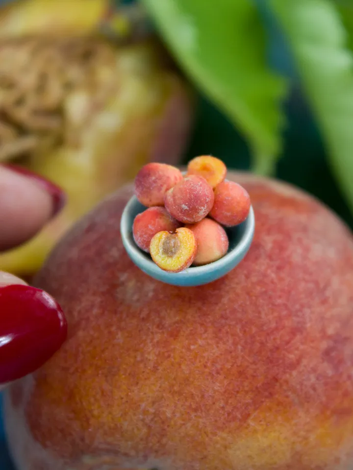 TUTORIAL Miniature peaches with polymer clay