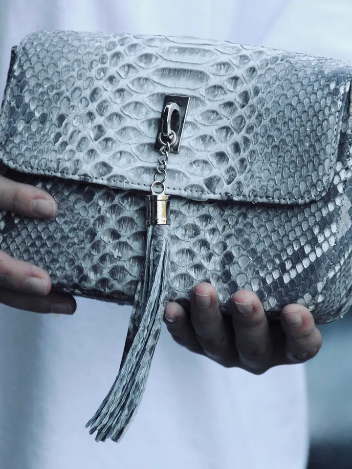 Genuine python skin crosdbody chain tassel bag, elegant small classy bag crossbody genuine leather bag, everyday elegant small bag snake