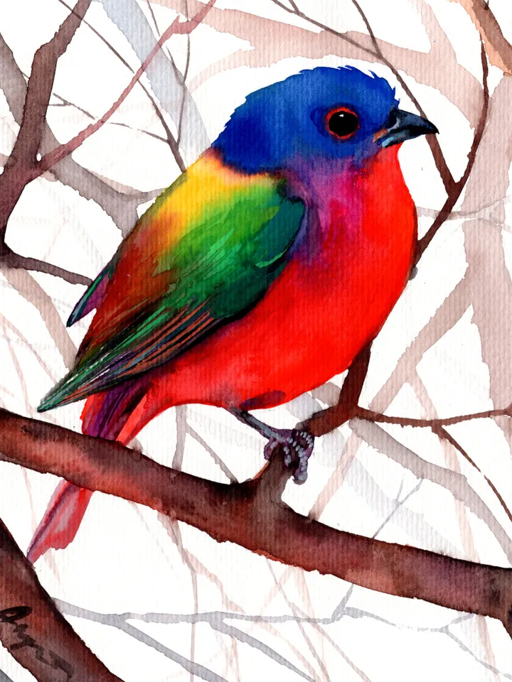 Robin original watercolor, birds painting, wall decor, 7x10 in art for bird lovers by Anne Gorywine