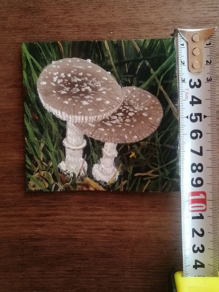 Miniature painting: Mushroom Fly Agaric. Painted with oil paints. Size 95 x 95 mm