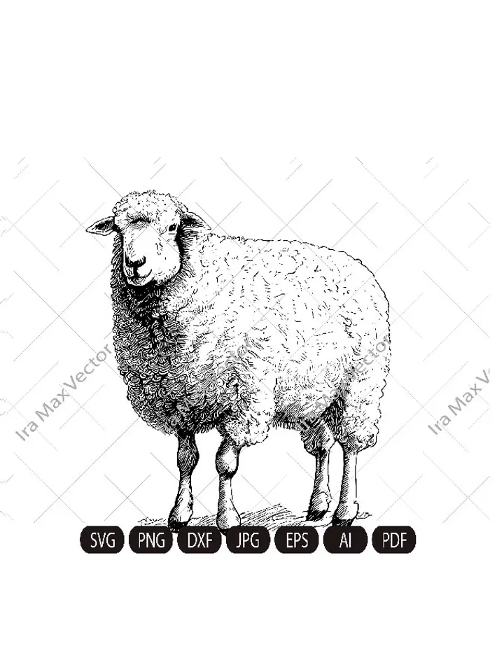 Cute sheep SVG, Farm sheep,Sheep standing, Sheep Clipart, Sheep detailed, Sheep printable, Farm animals, Livestock