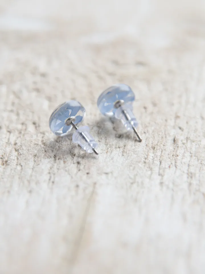 Forget-me-not stud earrings with real flowers