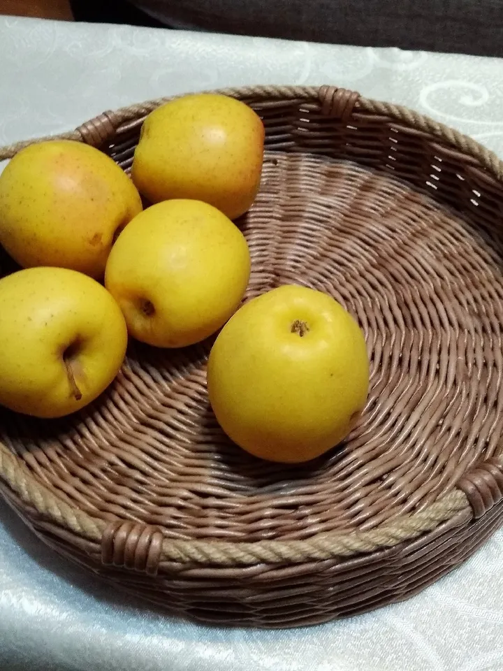 Tray Round tray Serving tray Coffee tray Tea tray Fruit tray Kitchen decor Housewarming gift Kitchen tray
