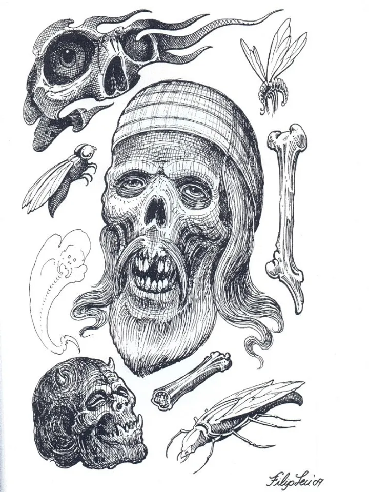 Filip Leu Skulls