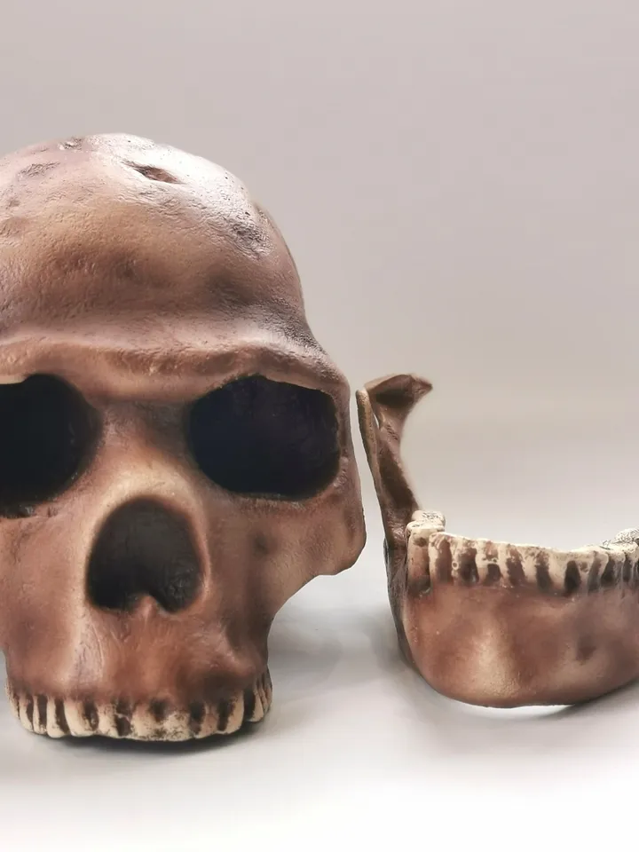 Homo Sapiens Skull Replica Skhul 5, Prehistoric Fossil Collection, Realistic Hominid Skull, Museum Quality