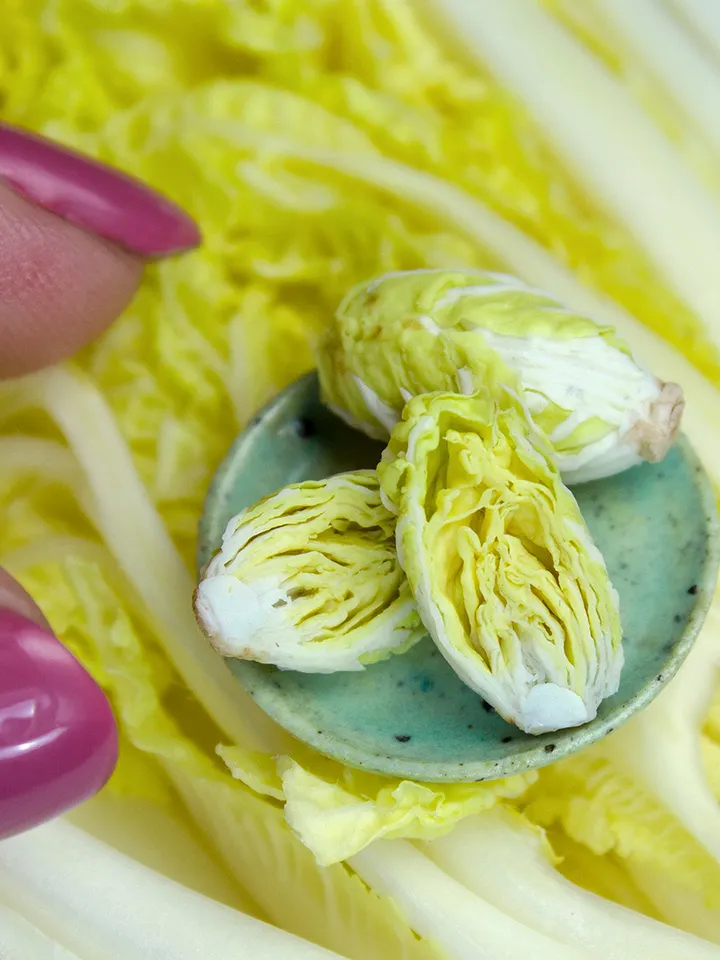 TUTORIAL Miniature napa cabbage with air dry clay
