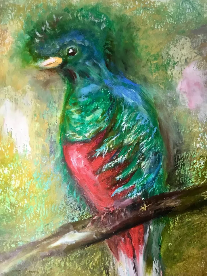 Quetzal bird,original oil pastel painting,exotic birds painting,colourful oil pastel painting,affordable art,wall decoration gift.