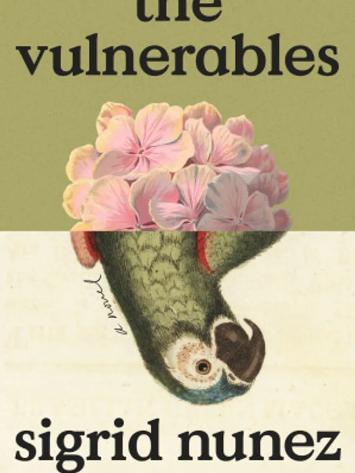 The Vulnerables A Novel by Sigrid Nunez