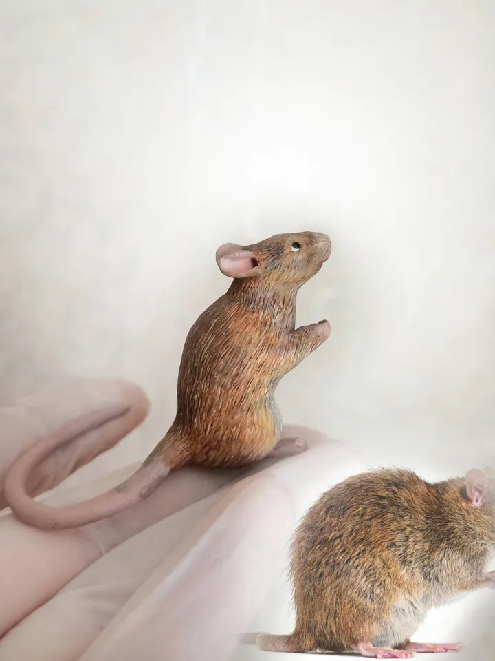 Realistic rat ornament