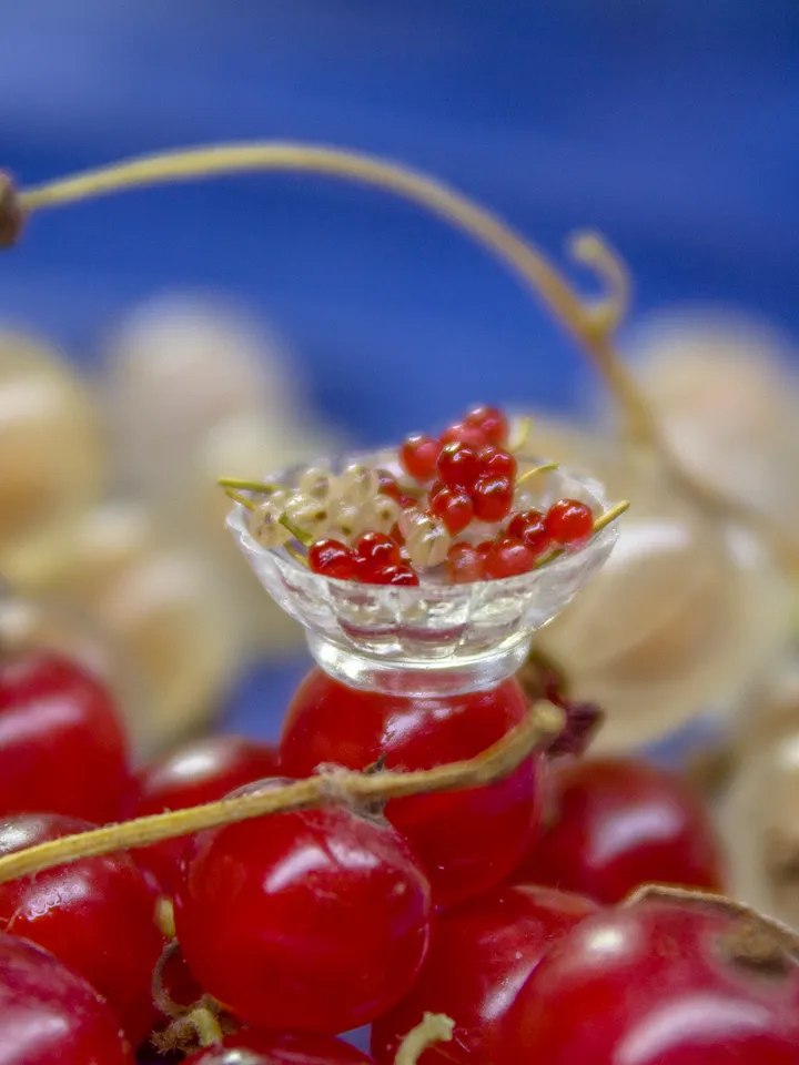 TUTORIAL Miniature red currants with polymer clay