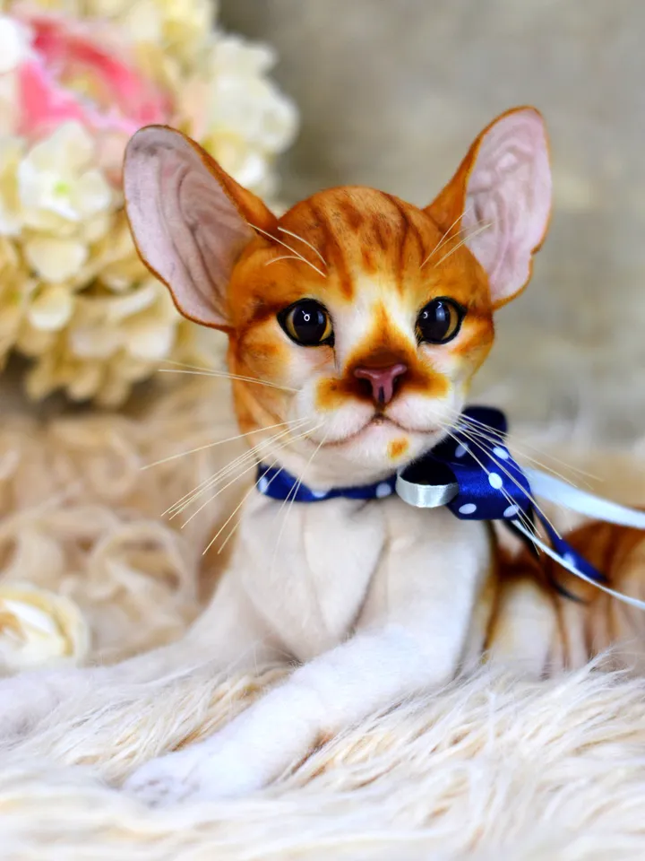Realistic Stuffed Cat Toy - Portrait of a Domestic Plush Toy - Stuffed Cat - OOAK - Kitty Aurora