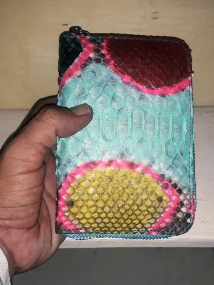 Genuine python skin wallet | Small wallet | Exotic leather wallet | Women wallet | Multicolor trendy Wallet | Snakeskin designer wallet