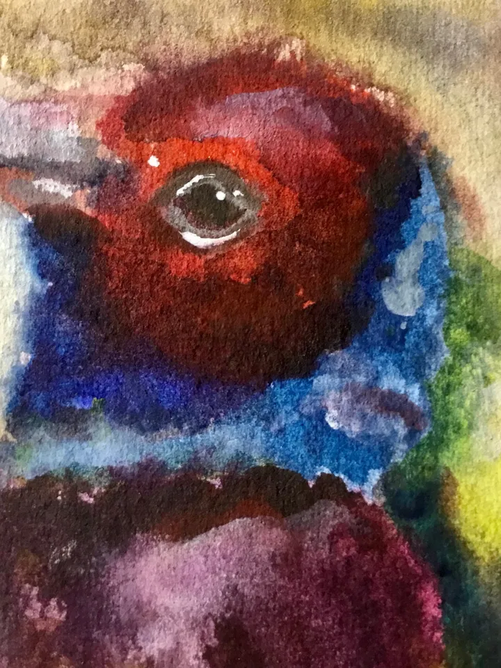 Bullfinch bird,colourful bird watercolor original painting,birds painting,small painting gift,kids room wall hanging,home decoration.