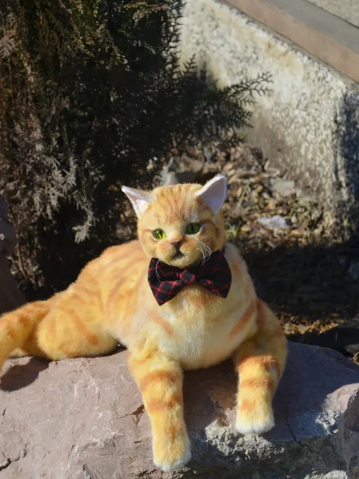 March cat.