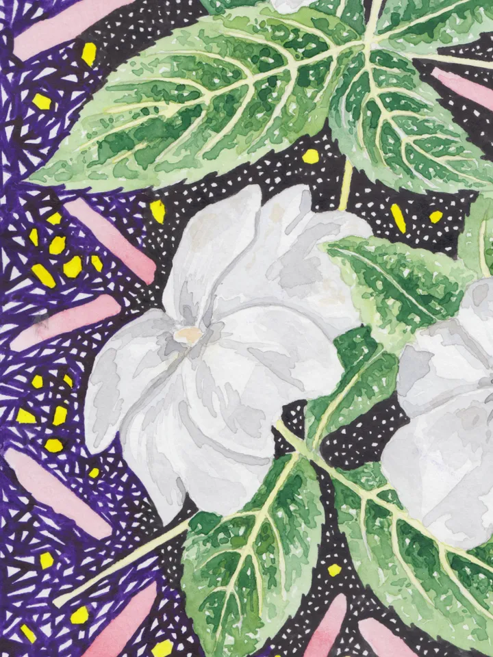 Original work in watercolor. White spring flowers