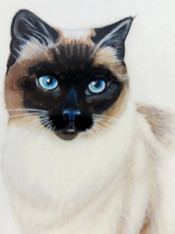 Nice Russian lacquer box "Siamese cat. Pet" Hand painted miniature, jewelry box, Gift for cat lovers, Art gift Fedoskino. New year's gift