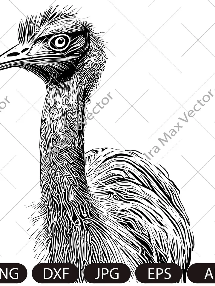 Ostrich Peeking SVG, Ostrich Silhouette dxf, SVG, Farm life clipart, iron on, laser cut, vinyl shirt design, Vector OSTRICH, Digital image,
