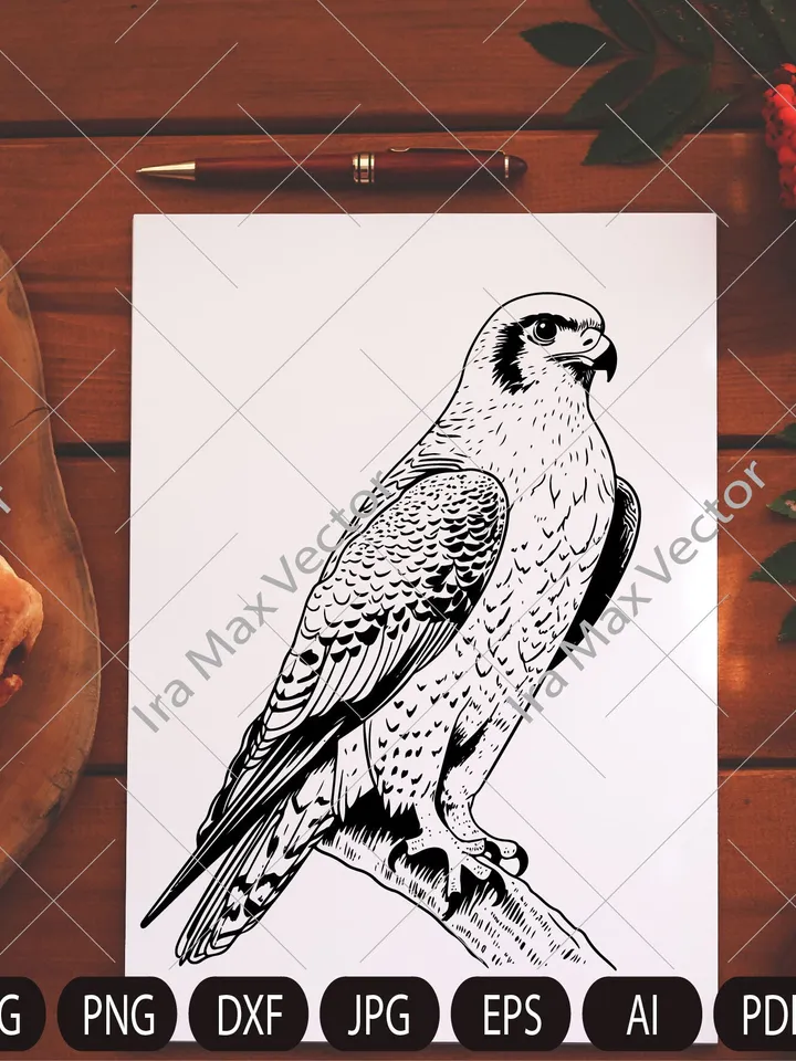 Falcon Svg, Falcon Clipart, Falcon Png, Falcon Head, Falcon Cut Files For Cricut , Falcon Silhouette, Bird Silhouette
