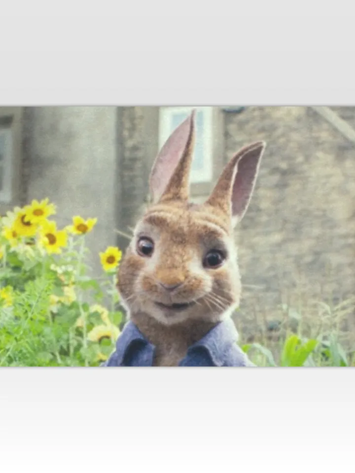 Peter Rabbit DoorMat $48.00 | Buy online with delivery