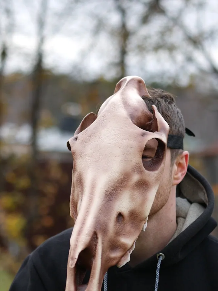 Horse Skull Mask Without Jaw, Horror Mask, Realistic Skull Mask, halloween scary mask, creepy mask, skull costume mask, shamanic mask