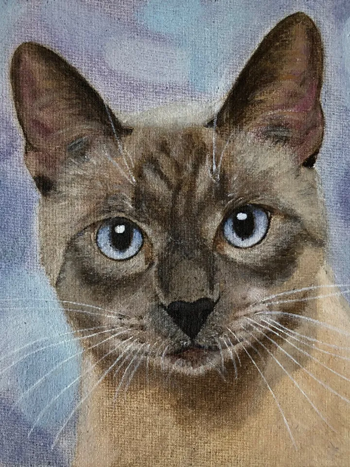 Cat portrait original oil painting on canvas animal art pet portrait hand painted modern painting wall art 8x8 inches