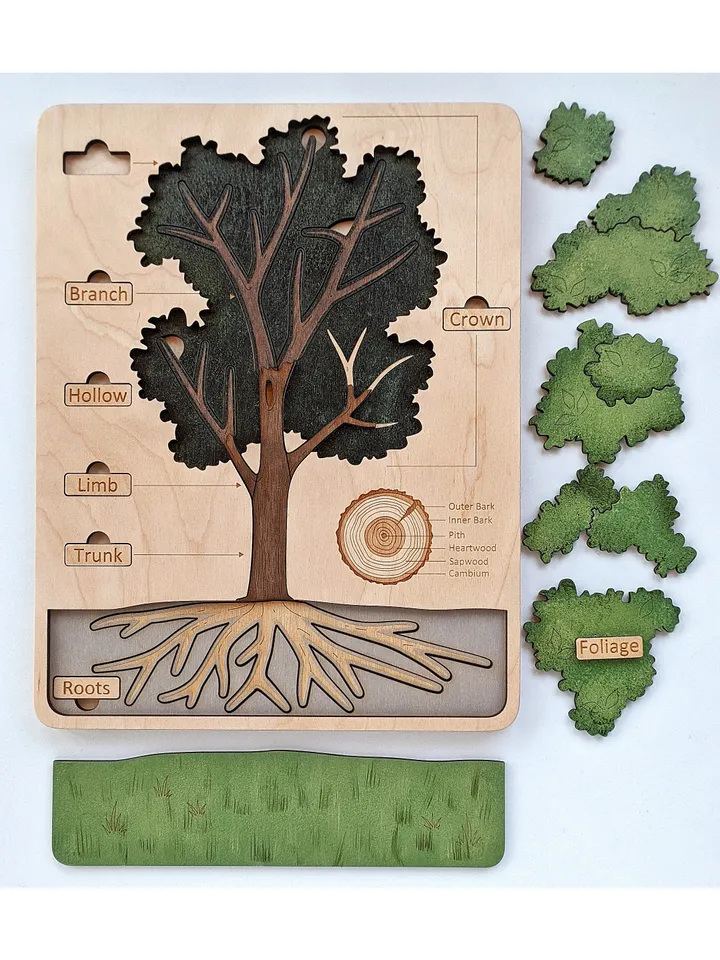 Wooden Tree structure puzzle Montessori Wooden puzzle science play