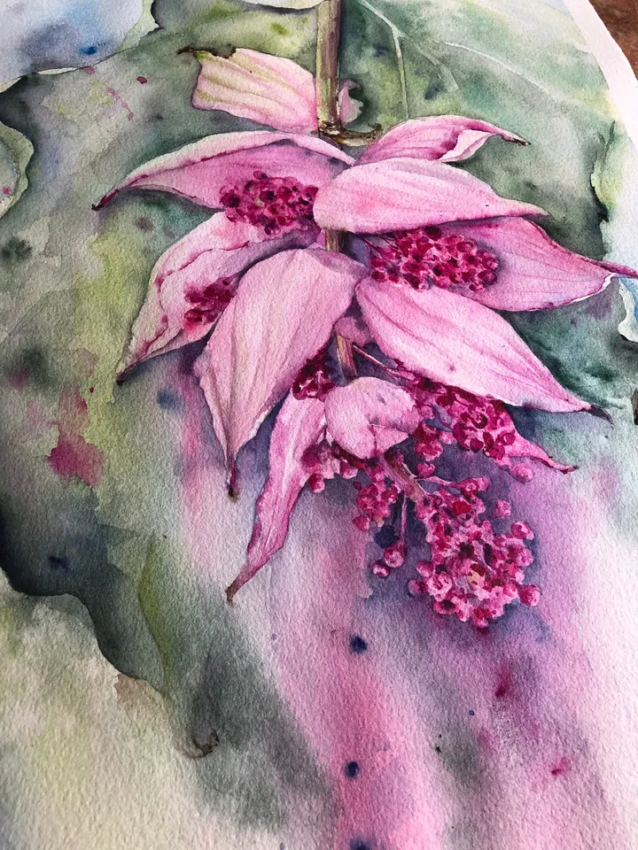 Flowers Original Painting Tropical Floral Watercolor Bouquet Painting
