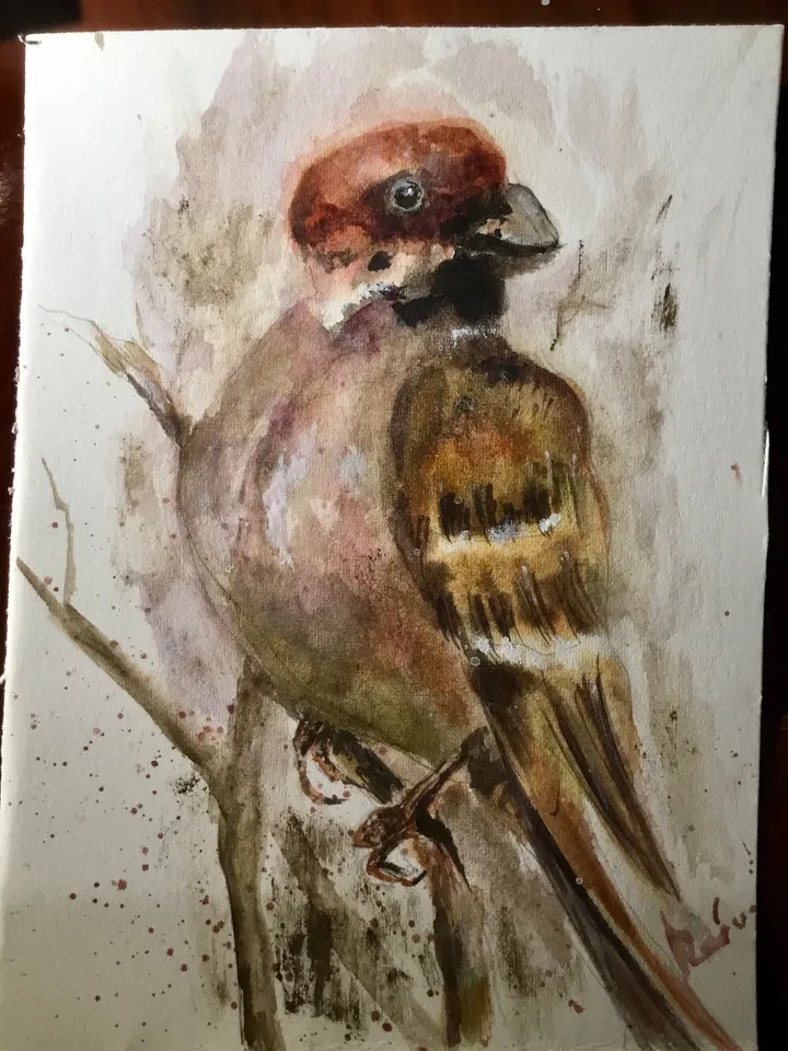 Bulfinch bird original watercolour painting,unique handmade gift,home decoration,birds painting,small paintings wall decoration.