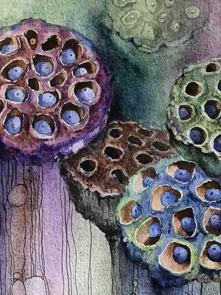 Flowers Original Lotus Painting Watercolor and ink Water Lilies Art