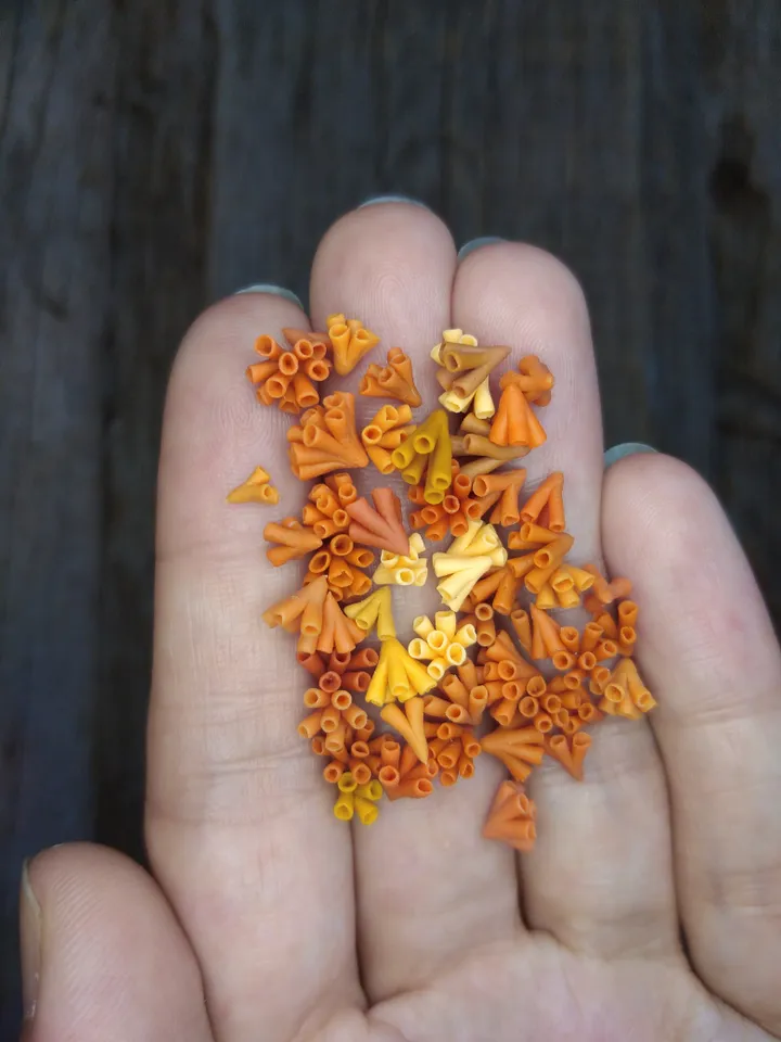Set of miniature corals shades of orange, tiny corals for diorama, dollhouse or resin art