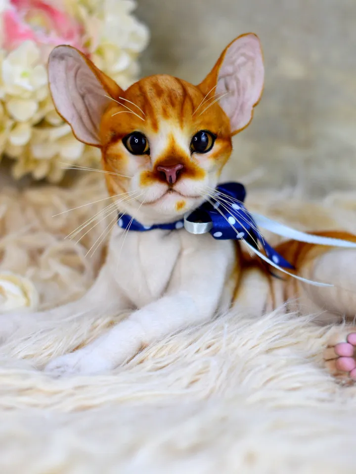 Realistic Stuffed Cat Toy - Portrait of a Domestic Plush Toy - Stuffed Cat - OOAK - Kitty Aurora