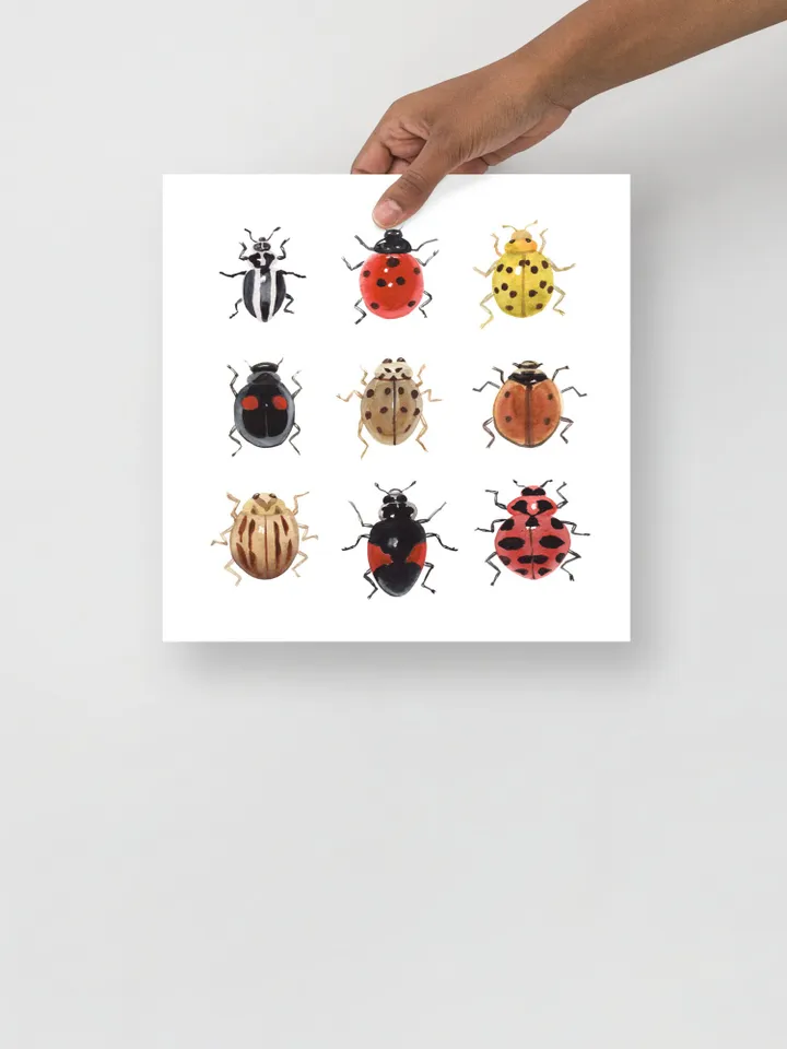 Ladybug Art Print, Watercolor Painting, Bug Insect Print, Insect Lover Gift, Ladybird Painting, Lady Bug, Realistic Art, Gift For Him