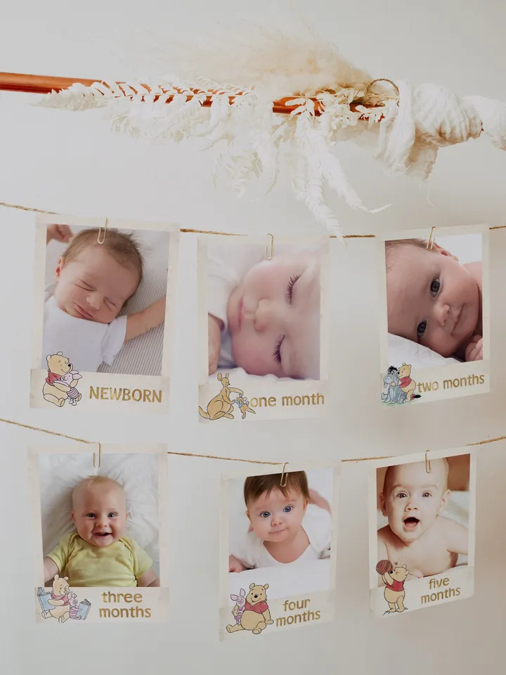 Editable Photo Banner one year garland Winnie the Pooh First Birthday Photo Banner Garland; Hundred Acre Wood Party; Instant Download; wpg13