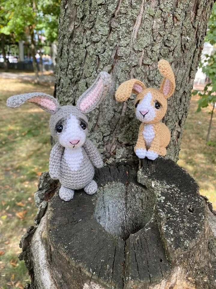 PDF Rabbit Crochet pattern, Crochet SET Animal Pattern, Crochet bunny, Amigurumi baby toy, Crochet Cute bunny Amigurumi, realistic amigurumi