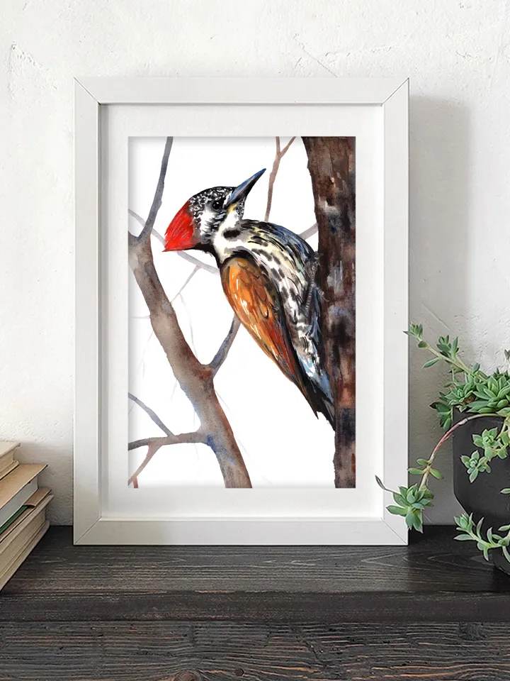 Woodpecker Bird Watercolour, bird painting, wall decor, birds lover gift, 8x11 in handmade art by Anne Gorywine