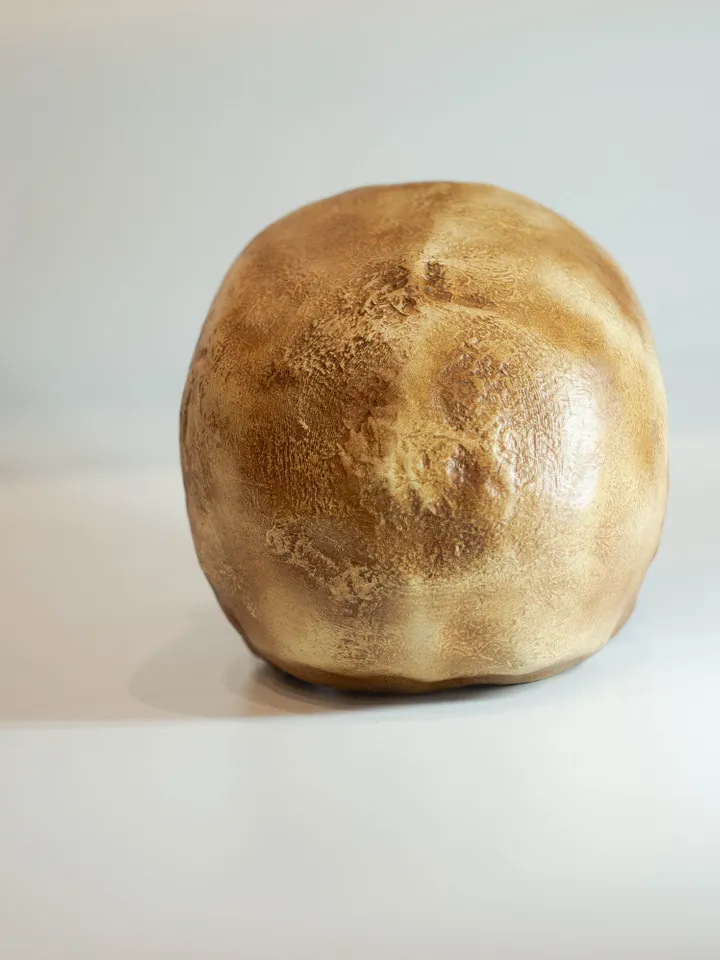Homo Neanderthal Steinheim Man Skull Replica, Prehistoric Fossil Collection, Realistic Hominid Skull, Museum Quality