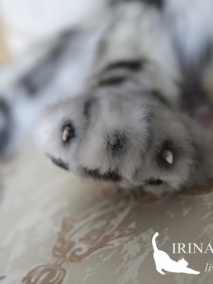 Snow leopard Irbis plush animals. Ooak toy. Snow leopard stuffed toy