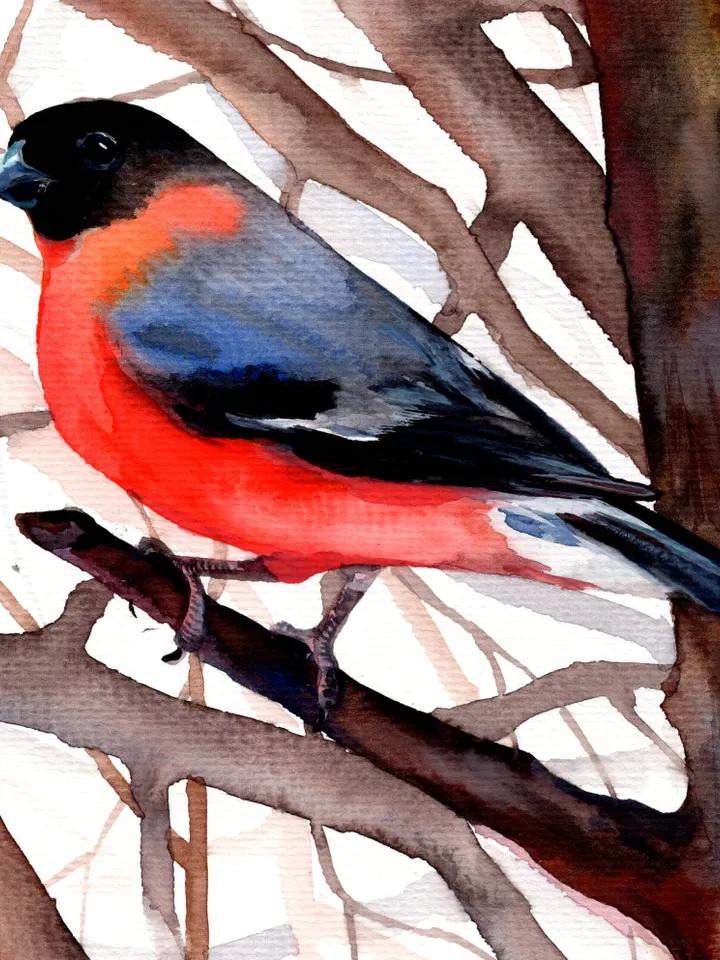 Bullfinch original watercolor, birds painting, wall decor, 7x10 in art for bird lovers by Anne Gorywine