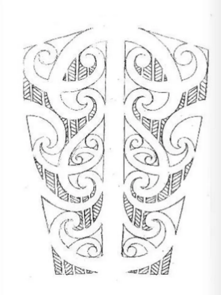 Shane Gallagher - Koru in lines